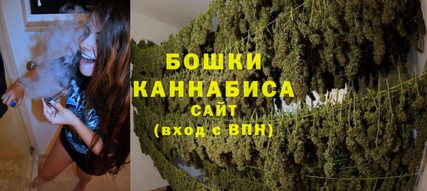 твердый Медногорск