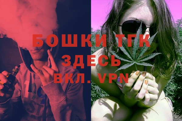 твердый Медногорск