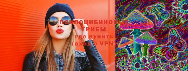 спайс Мегион