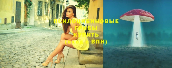 спайс Мегион