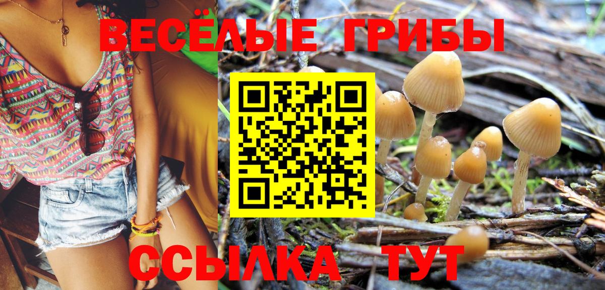 Галлюциногенные грибы MAGIC MUSHROOMS  Вход с VPN  наркотики  Электросталь 